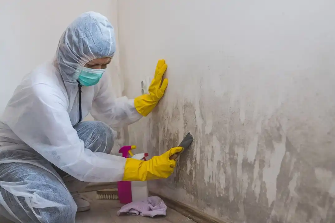 water damage restoration service Bartlett Woods